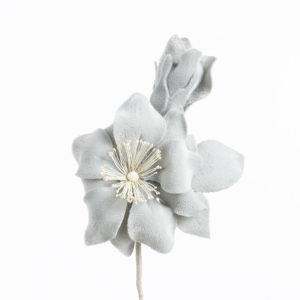 Blomma - BLS12