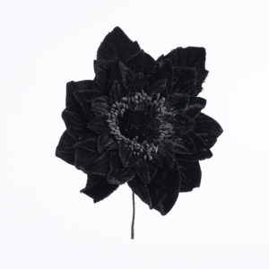 Blomma - BLS02