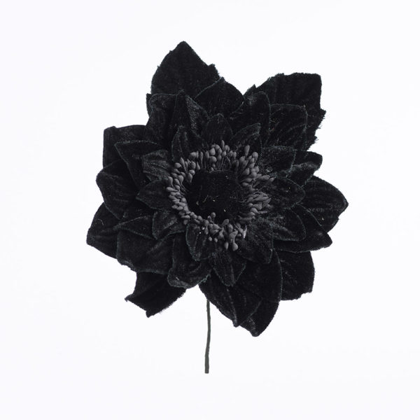 Blomma - BLS02