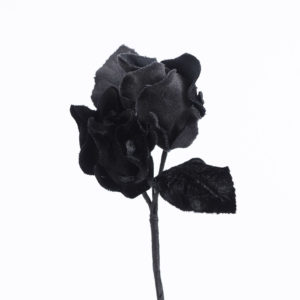 Blomma - BLS03
