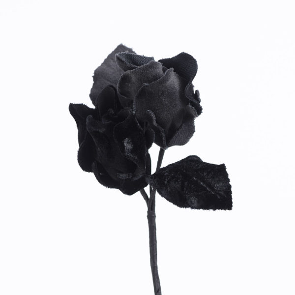 Blomma - BLS03