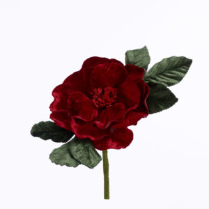 Blomma - BLS04