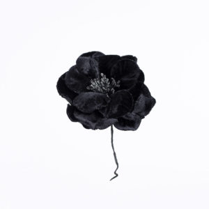 Blomma - BLS06