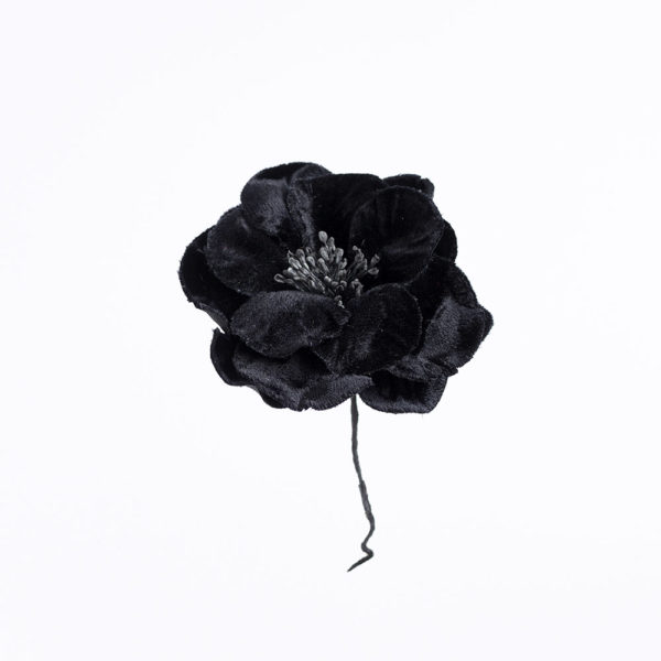 Blomma - BLS06
