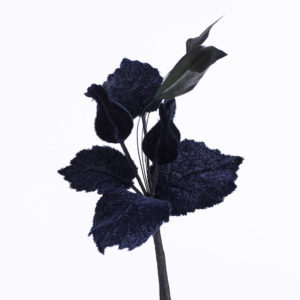 Blomma - BLS07
