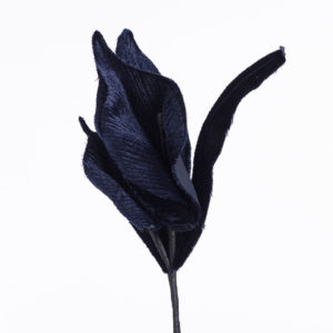 Blomma - BLS08