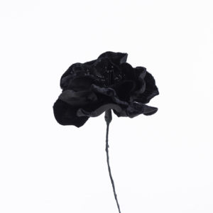 Blomma - BLS09