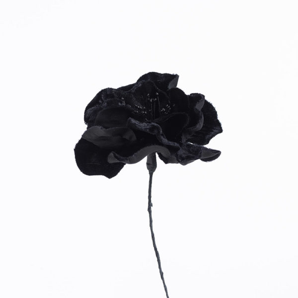 Blomma - BLS09