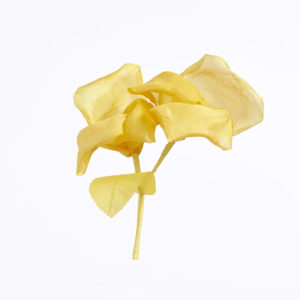 Blomma - BLT03