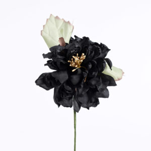 Blomma - BLT09