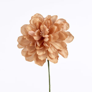Blomma - BLT10