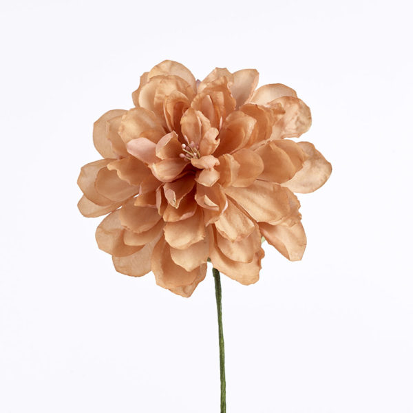 Blomma - BLT10