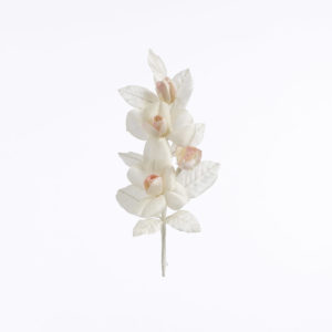 Blomma - BLT15