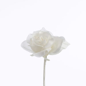 Blomma - BLT20