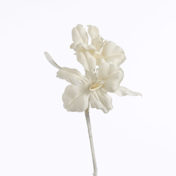 Blomma - BLT21