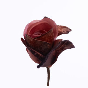 Blomma - BLT25