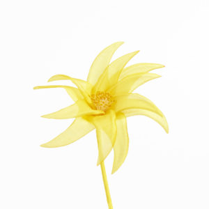 Blomma - BLT30