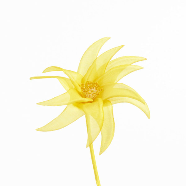 Blomma - BLT30