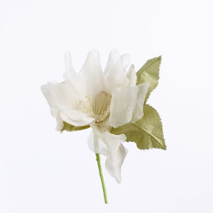 Blomma - BLT32