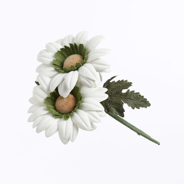 Blomma - BLT38