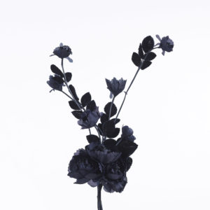 Blomma - BLT43