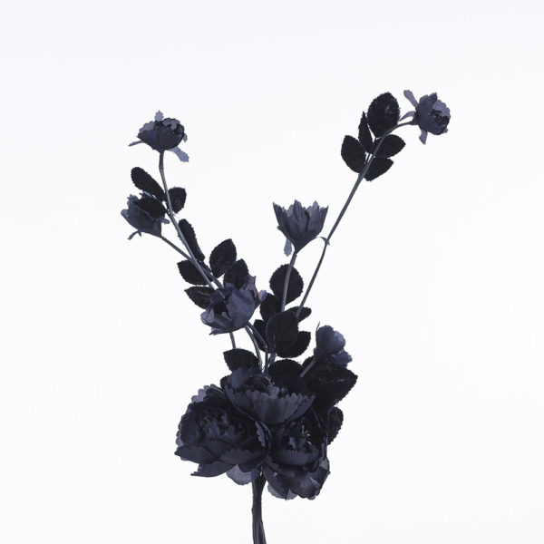 Blomma - BLT43