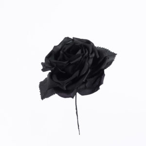 Blomma - BLT44