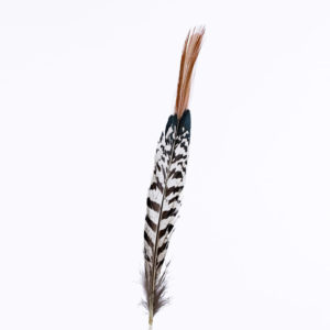 Diamantfasan - Stjärtfjäder Röd - 22cm