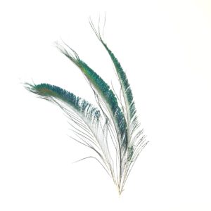 Påfågelsvärd - 28 cm
