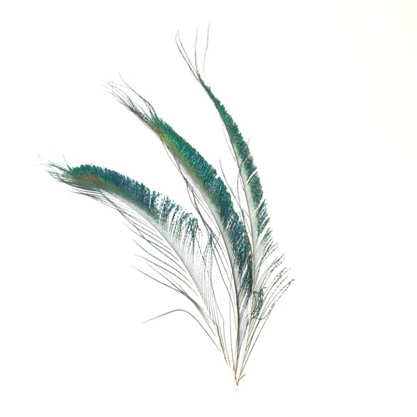 Påfågelsvärd - 28 cm