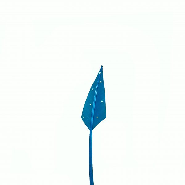 Fjäderpil Strass