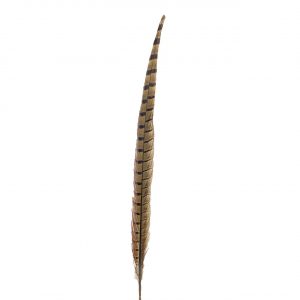 Fasan 30cm