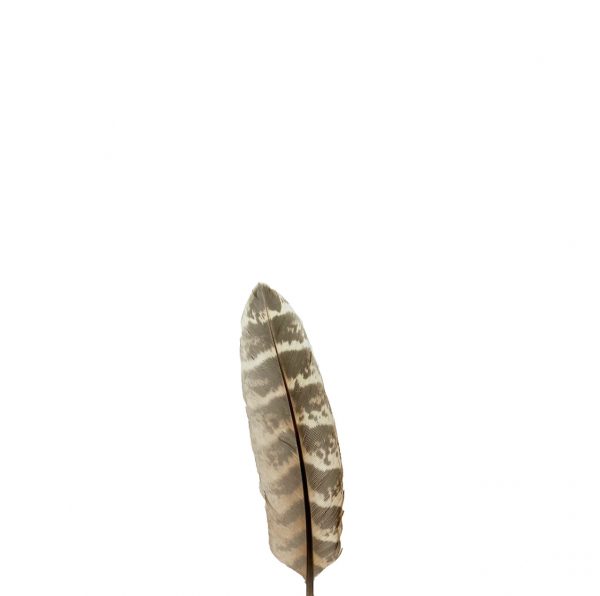 Fasan liten - 12 cm
